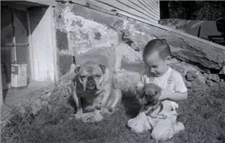 small_bob wobbles 2017-352.webp